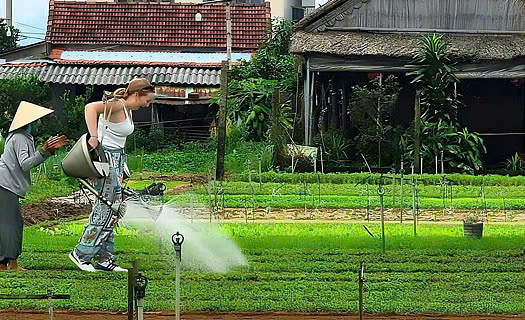 Du lịch sinh thái - hướng phát triển bền vững của đô thị cổ Hội An